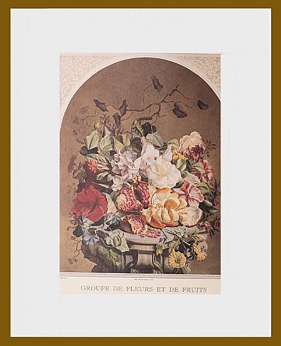 Γκραβούρες Flowers and fruits