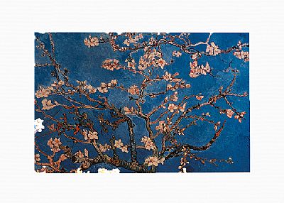 Αφίσα V.Van Gogh Ramo di mandorlo di fiore