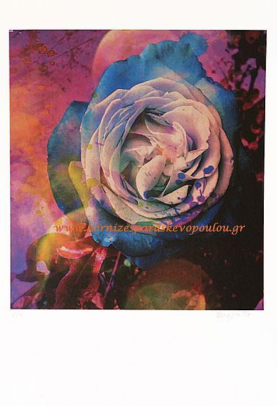 Ψηφιακή ζωγραφική Colorful rose