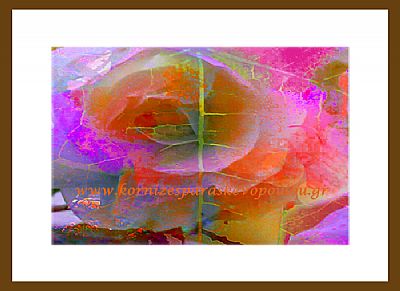 Ψηφιακή ζωγραφική White rose με πασπαρτού & κορνίζα