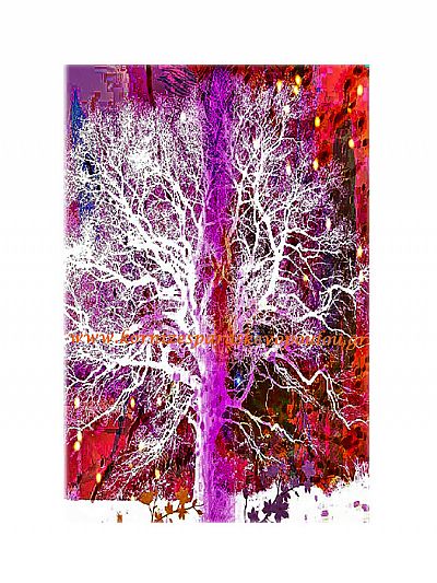 Ψηφιακή ζωγραφική Transparent με πασπαρτού 