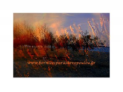 Ψηφιακή ζωγραφική Forest με πασπαρτού 